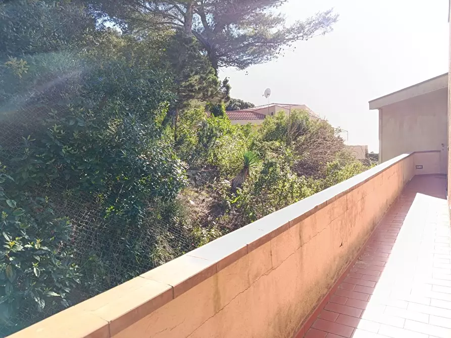 Immagine 16 di Appartamento in vendita  a Rosignano Marittimo