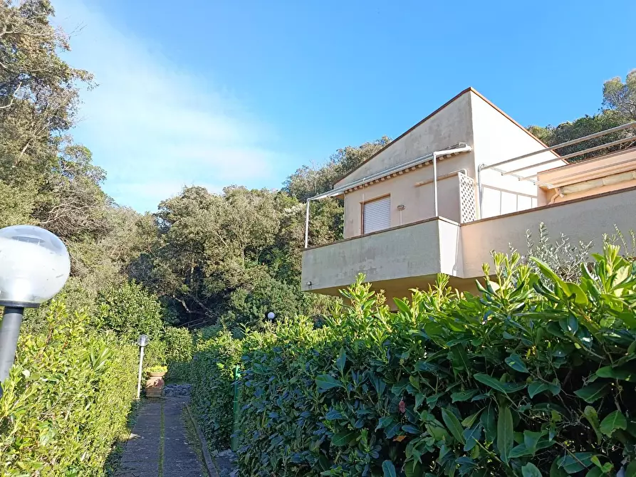 Immagine 1 di Appartamento in vendita  a Rosignano Marittimo