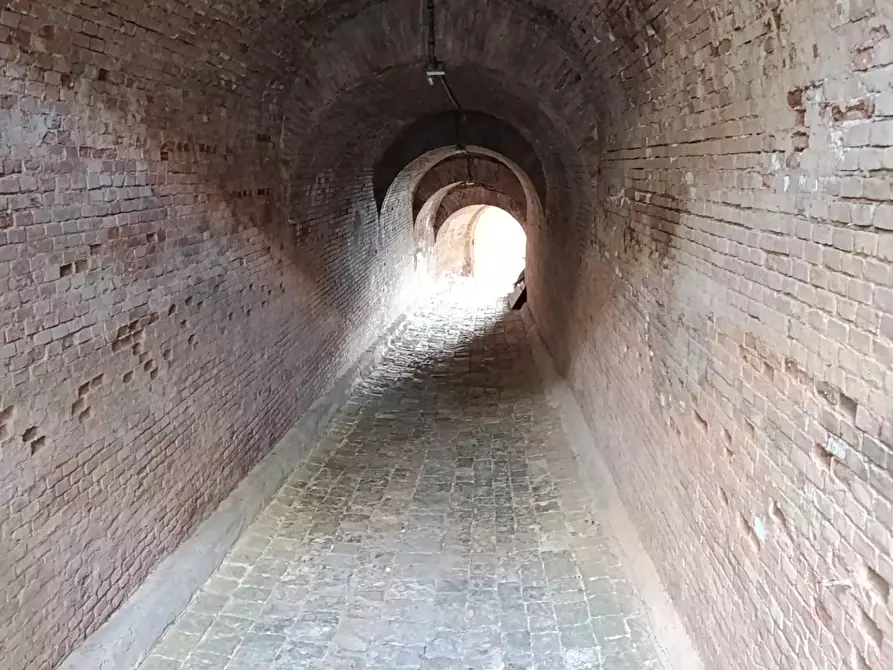 Immagine 18 di Appartamento in vendita  a Rosignano Marittimo