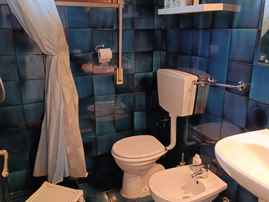 Immagine 9 di Appartamento in vendita  a Rosignano Marittimo