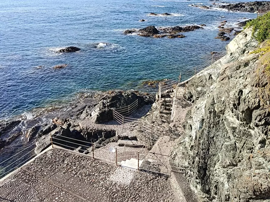 Immagine 22 di Appartamento in vendita  a Rosignano Marittimo