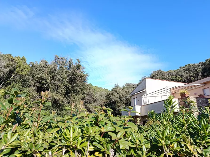 Immagine 15 di Appartamento in vendita  a Rosignano Marittimo