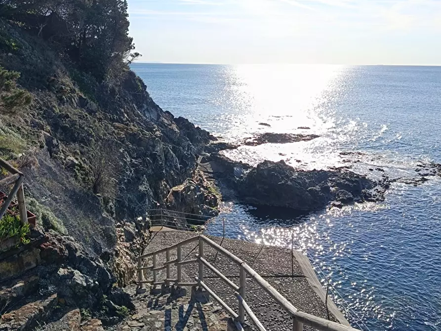 Immagine 21 di Appartamento in vendita  a Rosignano Marittimo