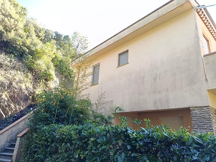 Immagine 2 di Appartamento in vendita  a Rosignano Marittimo