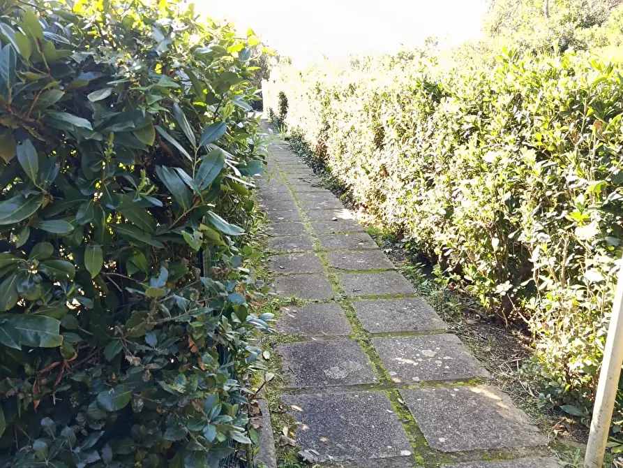 Immagine 3 di Appartamento in vendita  a Rosignano Marittimo