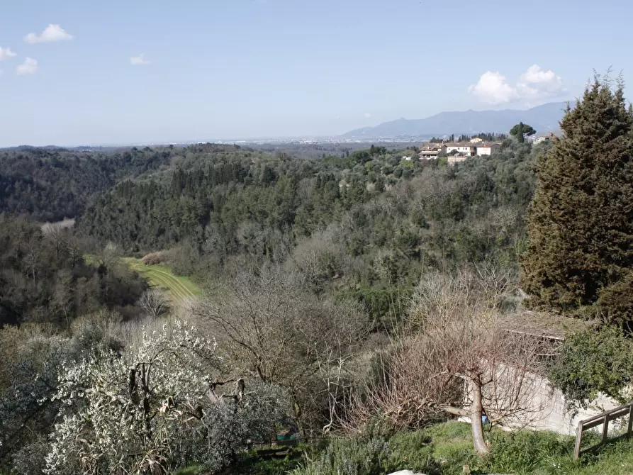 Immagine 22 di Appartamento in vendita  a Montopoli In Val D'arno