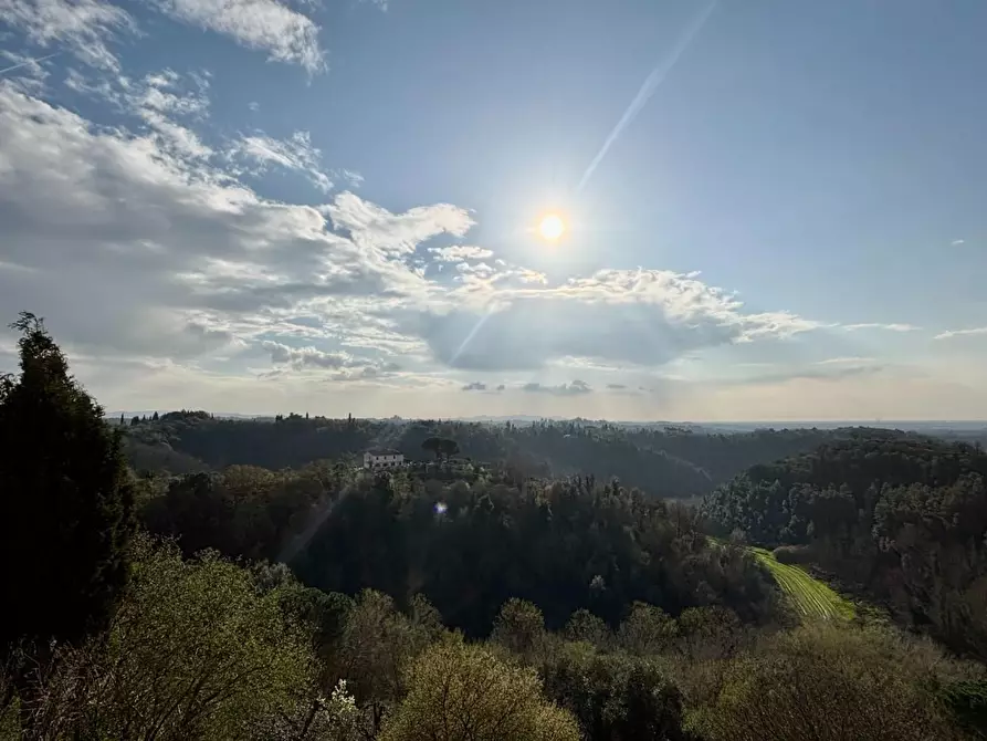 Immagine 21 di Appartamento in vendita  a Montopoli In Val D'arno