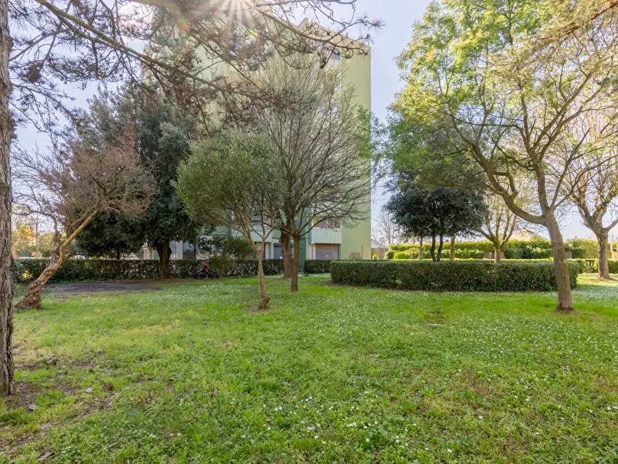 Immagine 7 di Appartamento in vendita  a Cascina