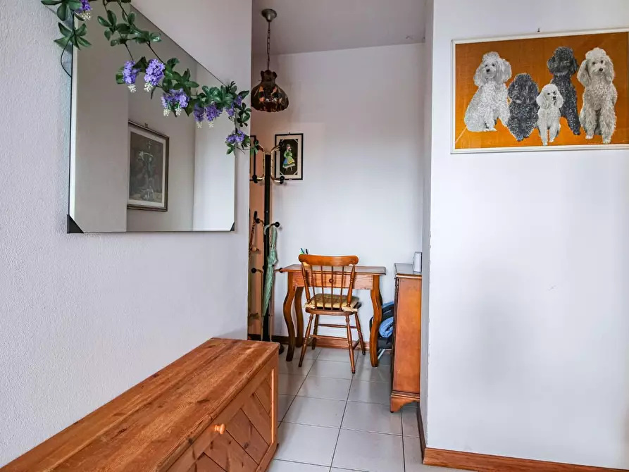 Immagine 8 di Appartamento in vendita  a Pisa