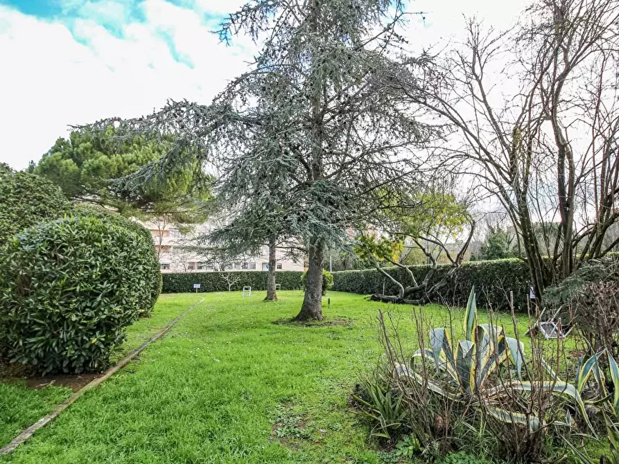 Immagine 20 di Appartamento in vendita  a Pisa