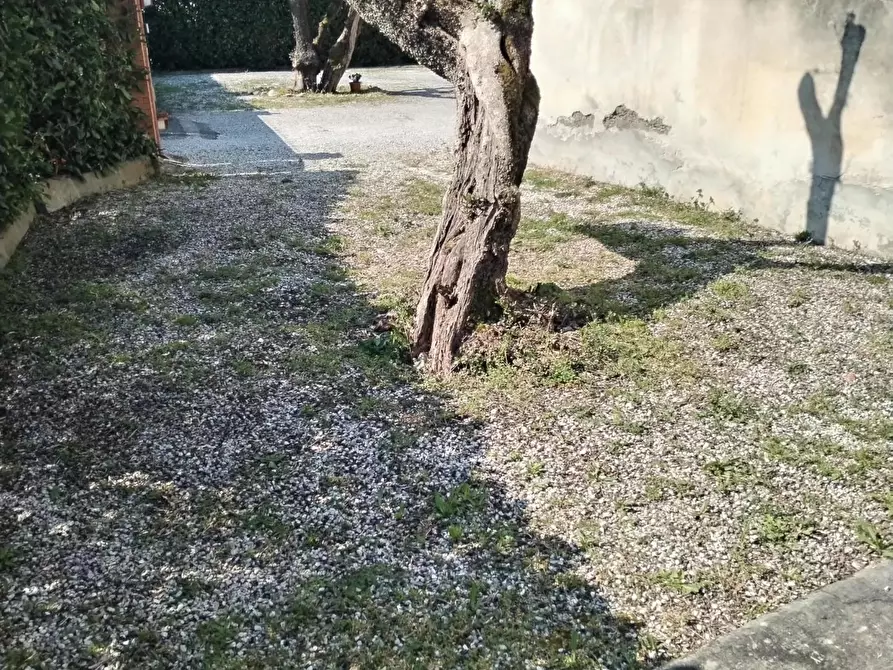 Immagine 2 di Porzione di casa in vendita  a Massa