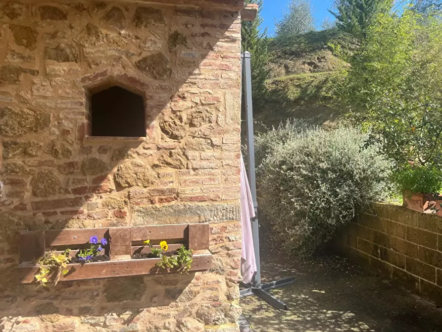 Immagine 51 di Casa colonica in vendita  a Palaia
