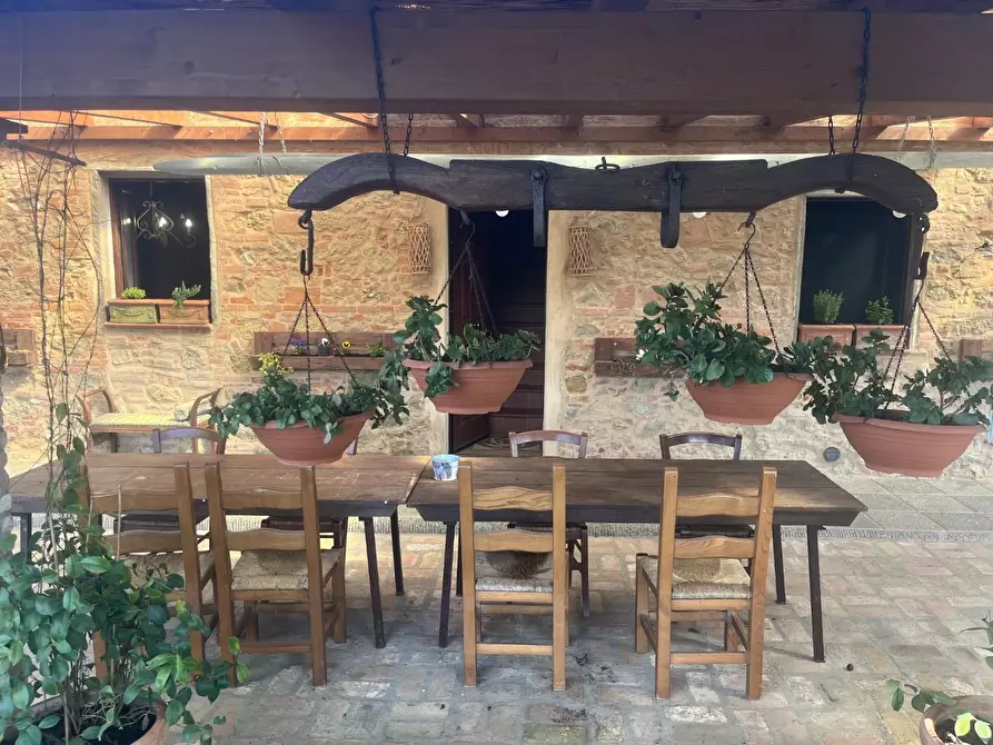Immagine 6 di Casa colonica in vendita  a Palaia