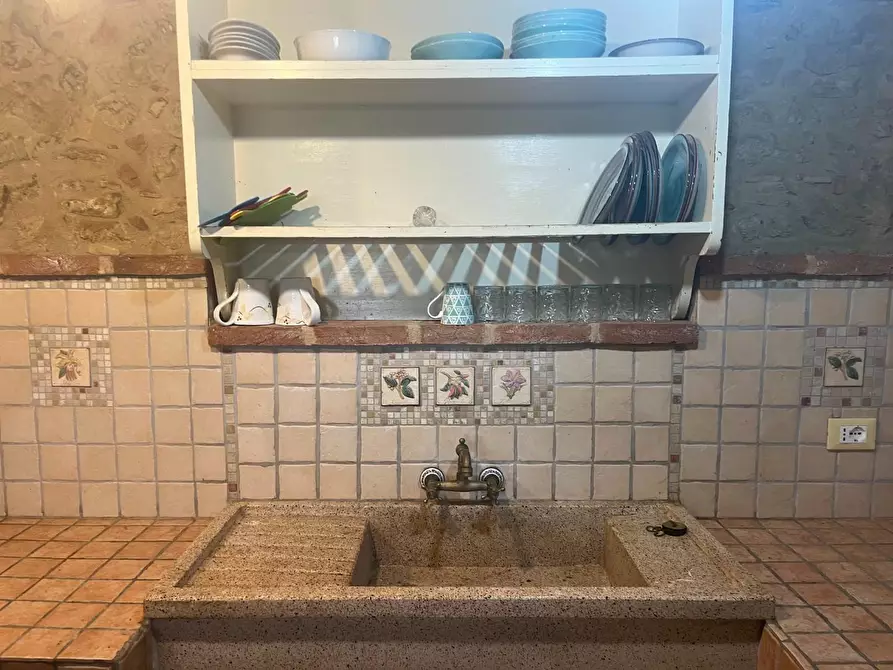 Immagine 4 di Casa colonica in vendita  a Palaia