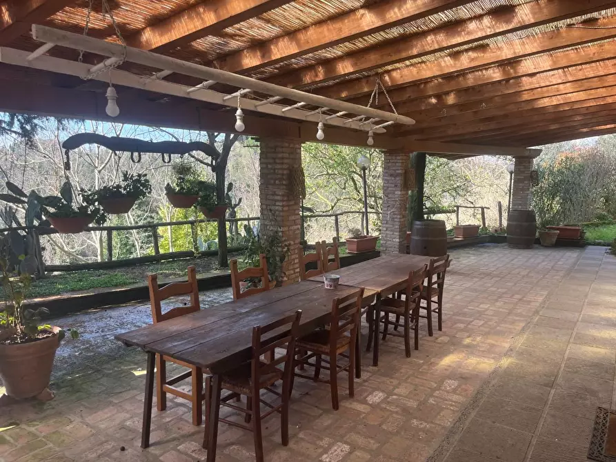 Immagine 17 di Casa colonica in vendita  a Palaia