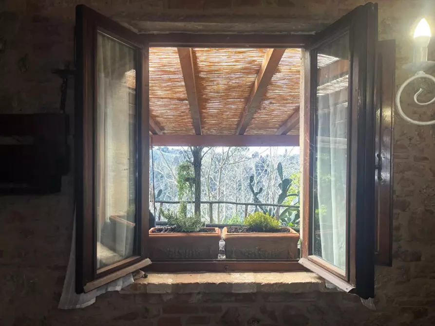 Immagine 36 di Casa colonica in vendita  a Palaia