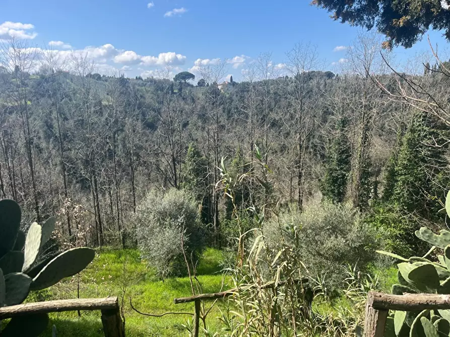Immagine 11 di Casa colonica in vendita  a Palaia