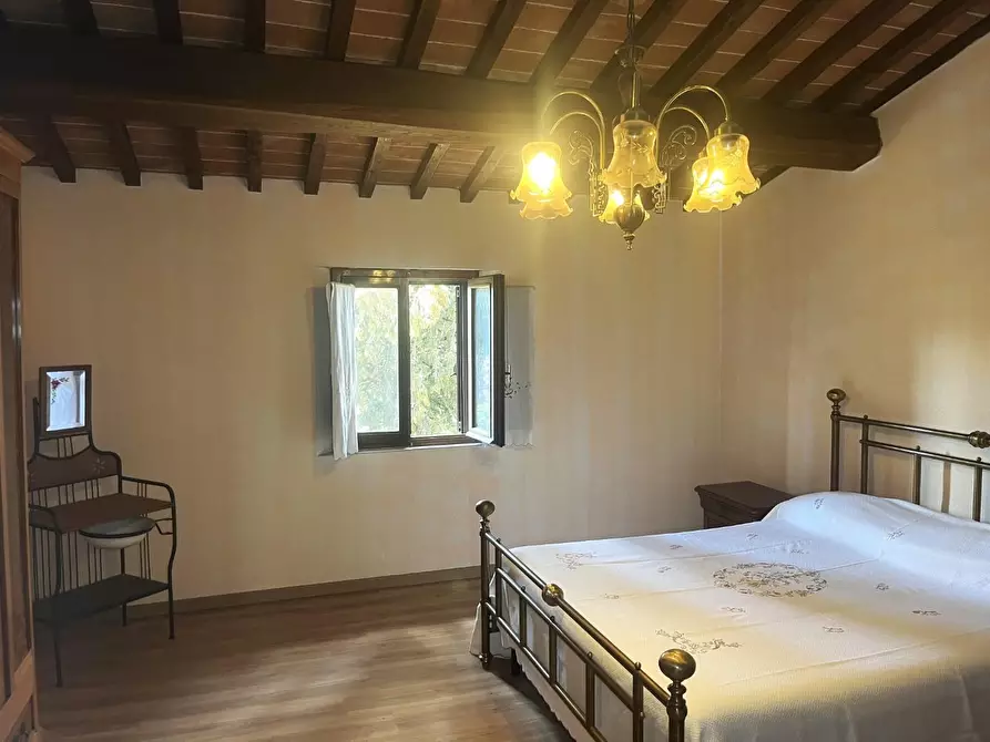 Immagine 30 di Casa colonica in vendita  a Palaia