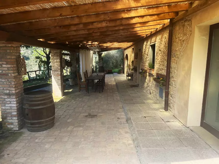Immagine 5 di Casa colonica in vendita  a Palaia