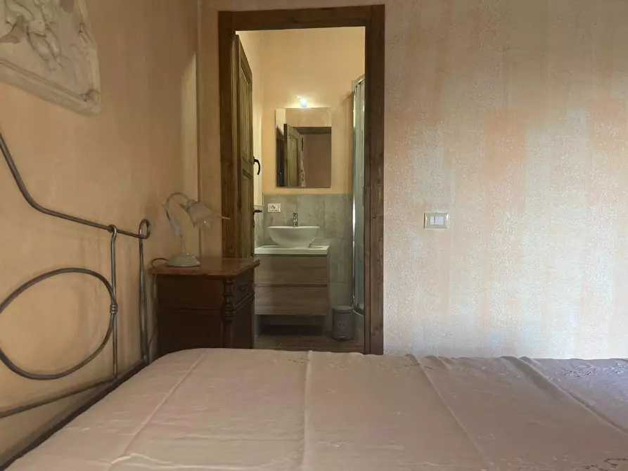 Immagine 47 di Casa colonica in vendita  a Palaia