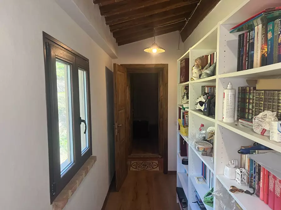 Immagine 50 di Casa colonica in vendita  a Palaia