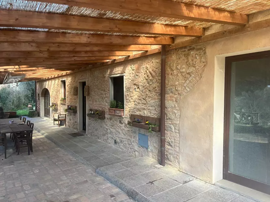 Immagine 32 di Casa colonica in vendita  a Palaia