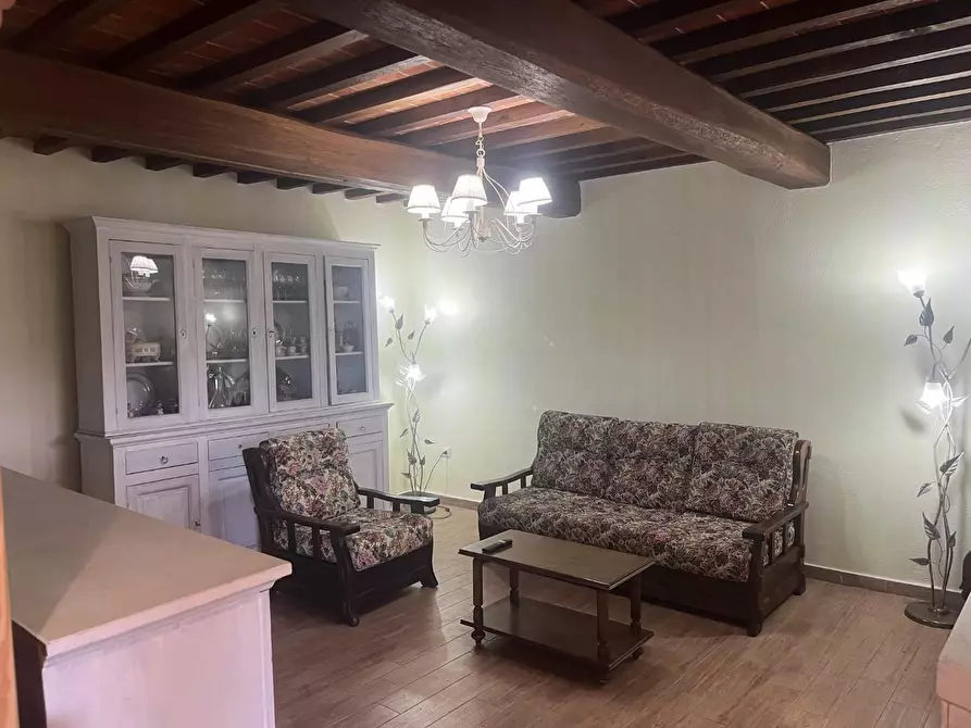 Immagine 8 di Casa colonica in vendita  a Palaia