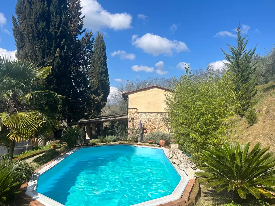 Immagine 1 di Casa colonica in vendita  a Palaia