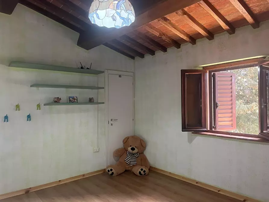 Immagine 45 di Casa colonica in vendita  a Palaia