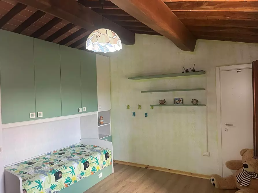 Immagine 31 di Casa colonica in vendita  a Palaia