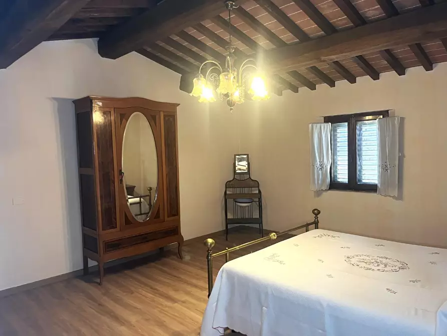 Immagine 42 di Casa colonica in vendita  a Palaia