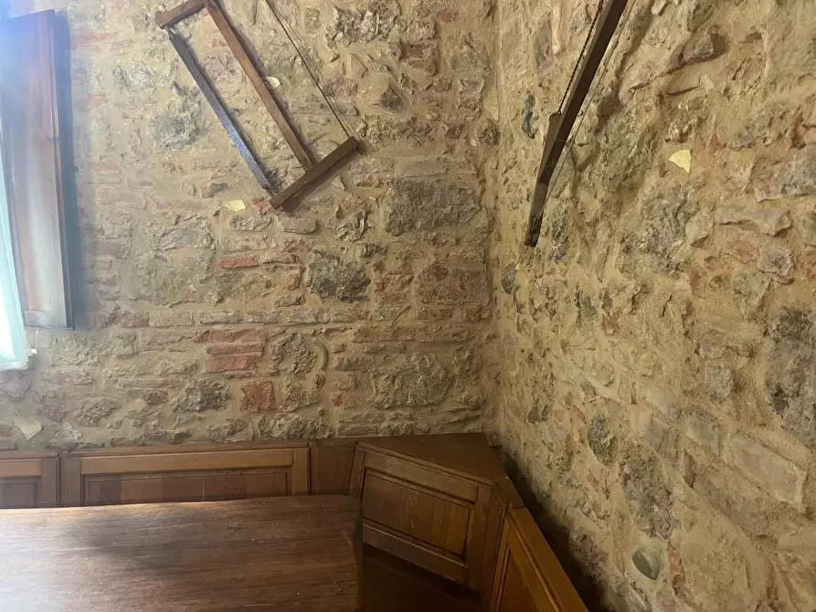 Immagine 35 di Casa colonica in vendita  a Palaia