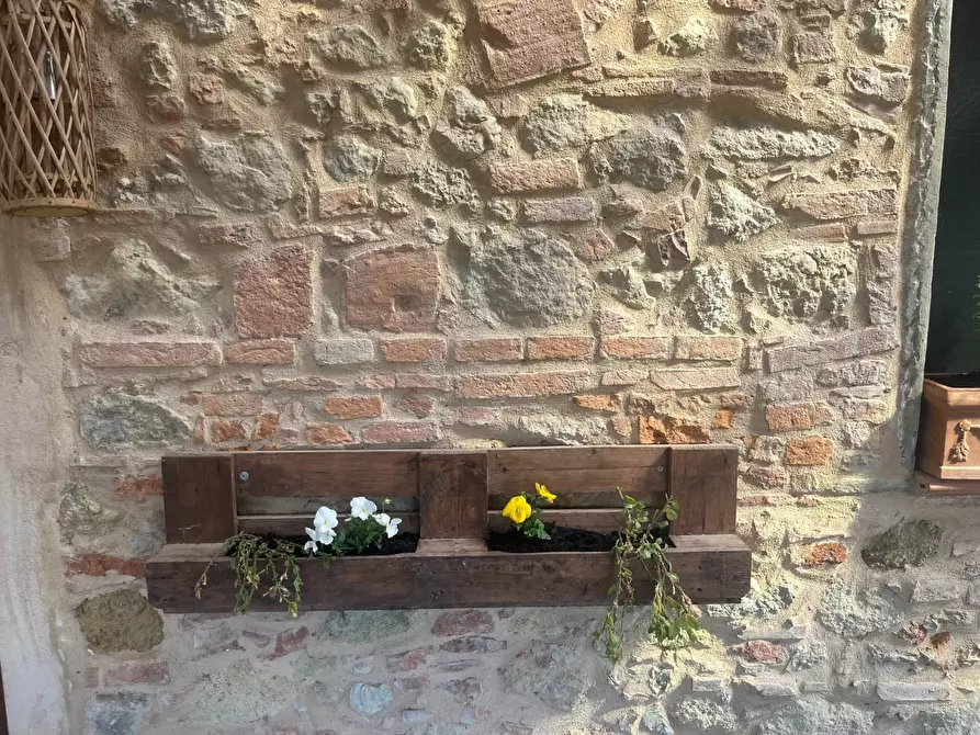 Immagine 7 di Casa colonica in vendita  a Palaia