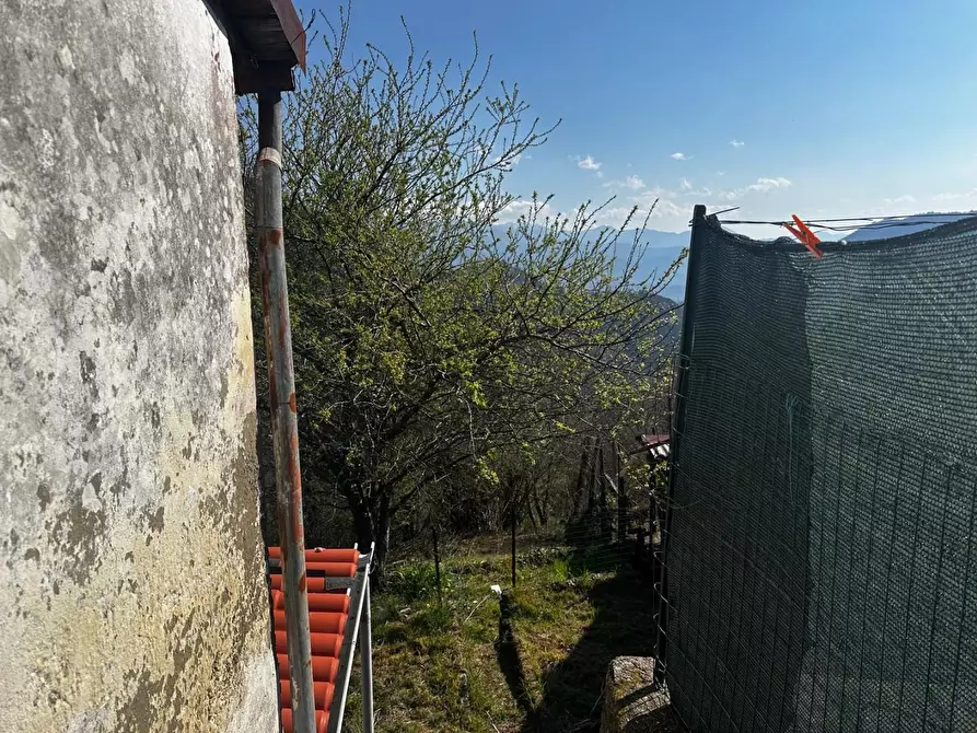 Immagine 17 di Terratetto in vendita  a Fabbriche Di Vergemoli