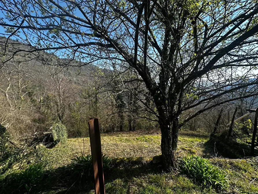 Immagine 34 di Terratetto in vendita  a Fabbriche Di Vergemoli