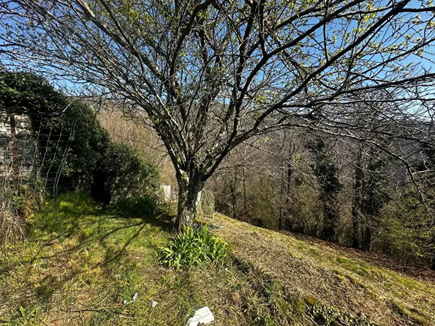 Immagine 35 di Terratetto in vendita  a Fabbriche Di Vergemoli