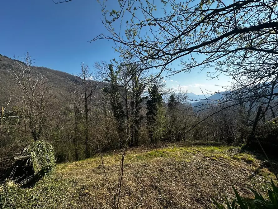 Immagine 37 di Terratetto in vendita  a Fabbriche Di Vergemoli