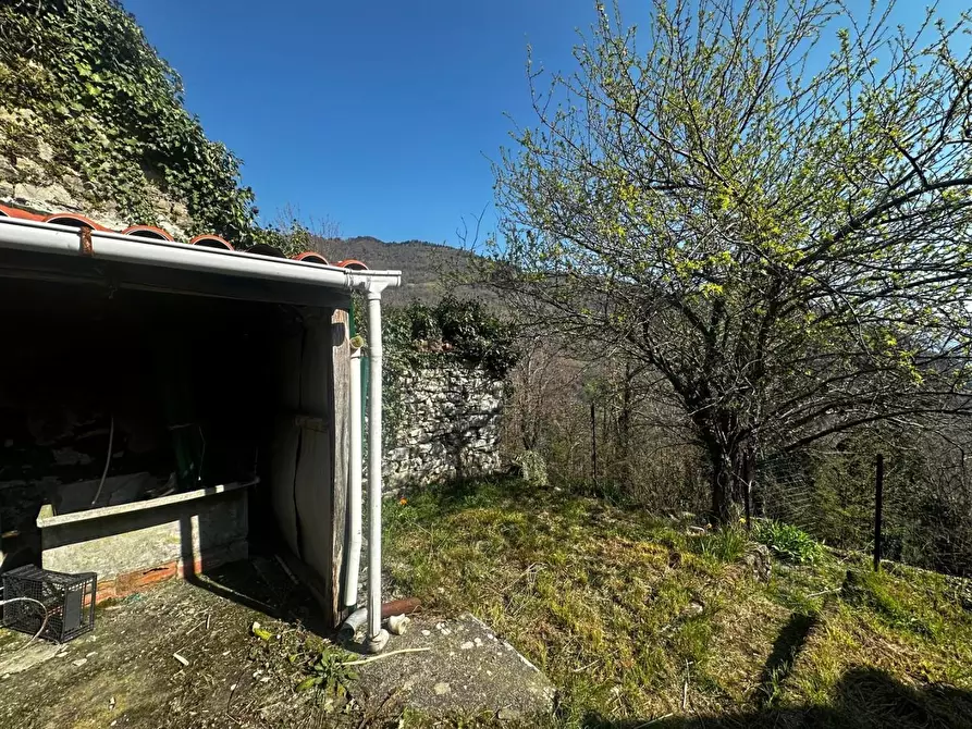 Immagine 33 di Terratetto in vendita  a Fabbriche Di Vergemoli