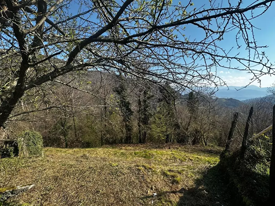 Immagine 36 di Terratetto in vendita  a Fabbriche Di Vergemoli