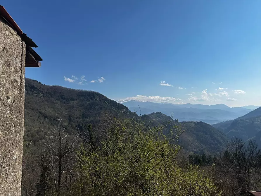 Immagine 19 di Terratetto in vendita  a Fabbriche Di Vergemoli