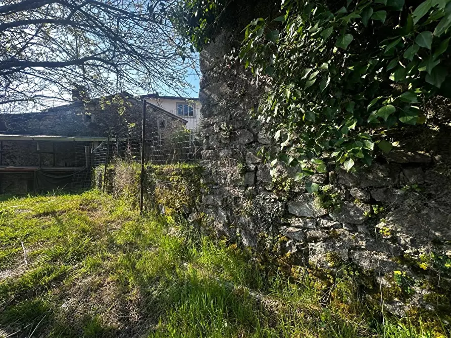 Immagine 39 di Terratetto in vendita  a Fabbriche Di Vergemoli