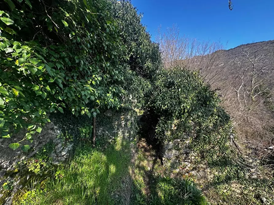 Immagine 38 di Terratetto in vendita  a Fabbriche Di Vergemoli