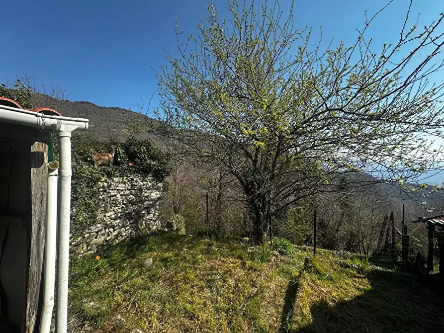 Immagine 41 di Terratetto in vendita  a Fabbriche Di Vergemoli