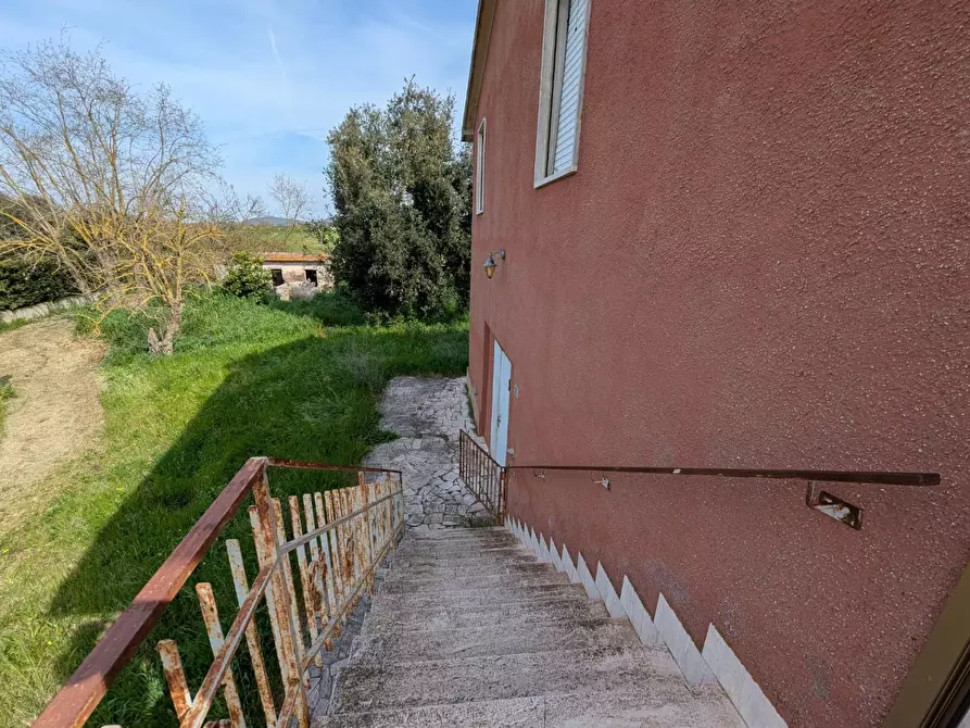 Immagine 24 di Casa colonica in vendita  a Orbetello