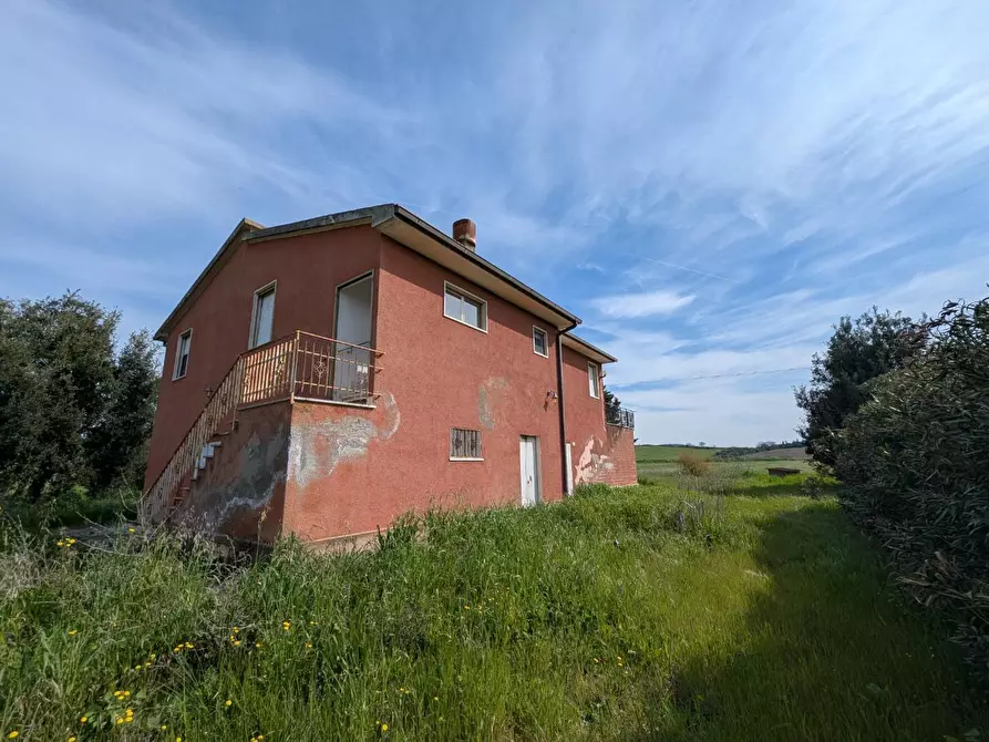 Immagine 6 di Casa colonica in vendita  a Orbetello