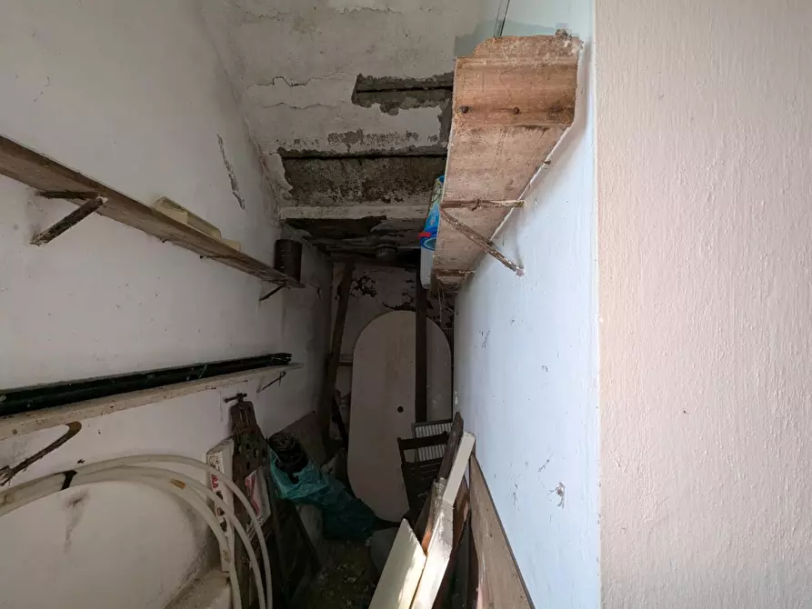 Immagine 31 di Casa colonica in vendita  a Orbetello