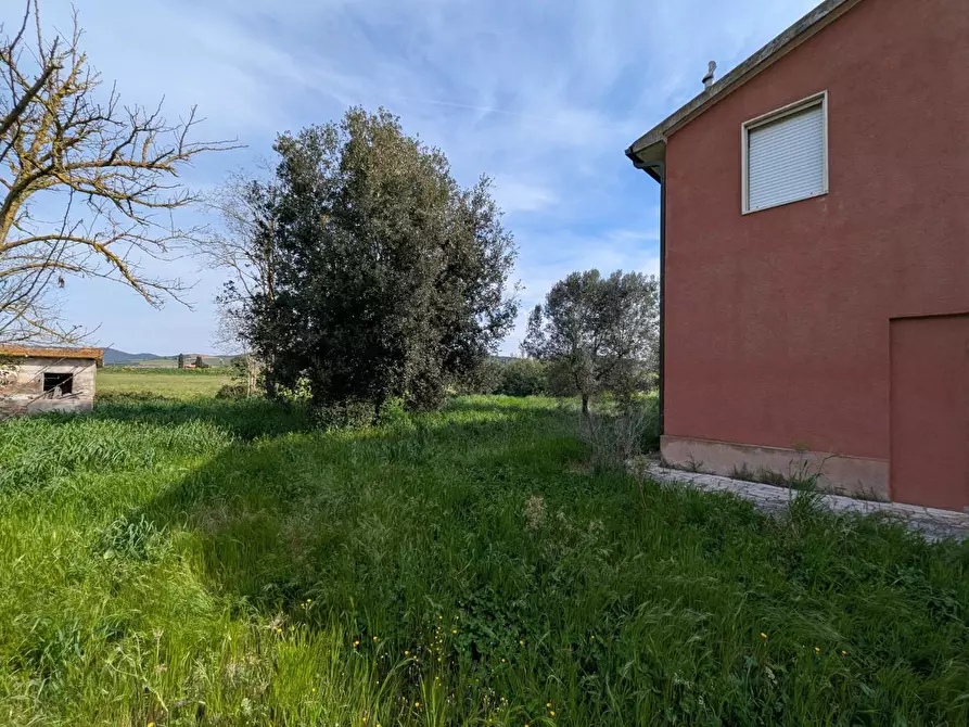 Immagine 5 di Casa colonica in vendita  a Orbetello