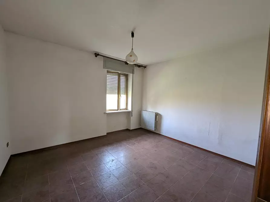 Immagine 11 di Casa colonica in vendita  a Orbetello