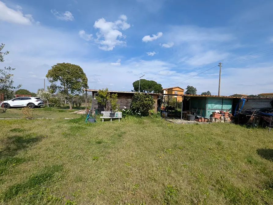 Immagine 37 di Casa colonica in vendita  a Orbetello