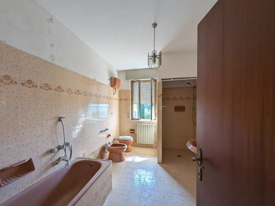 Immagine 17 di Casa colonica in vendita  a Orbetello